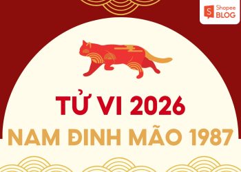 tử vi tuổi đinh mão năm 2026 nam mạng