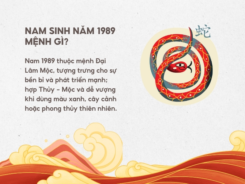 Nam sinh năm 1989 mệnh gì?