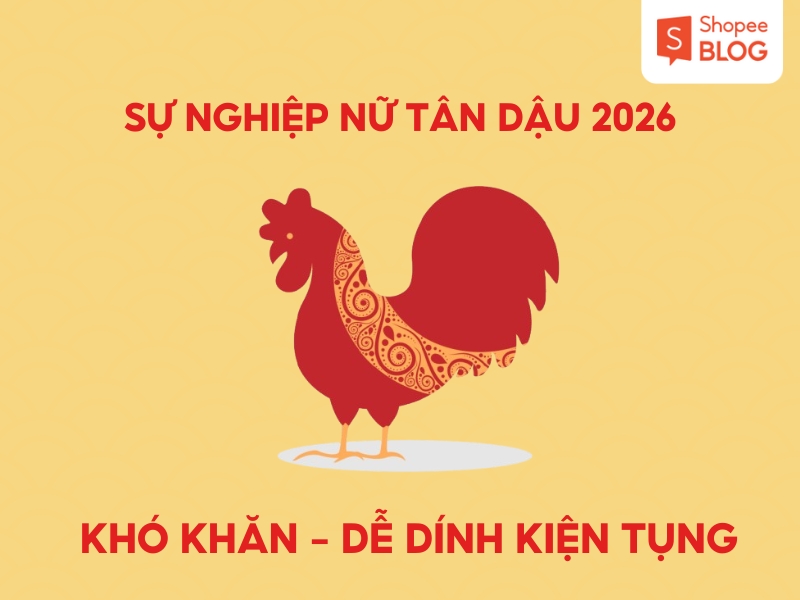 Sự nghiệp nữ sinh năm 1981  