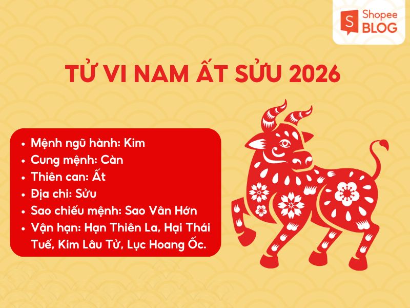 Luận giải tử vi nam sinh năm 1985