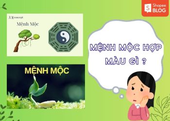 mệnh mộc hợp màu gì
