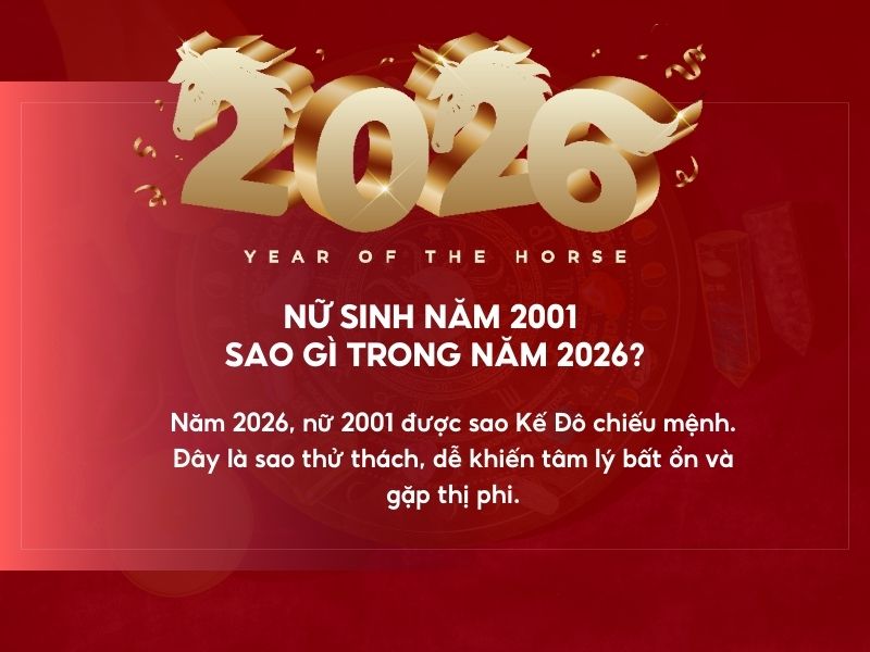 Tuổi Tân Tỵ sao gì?