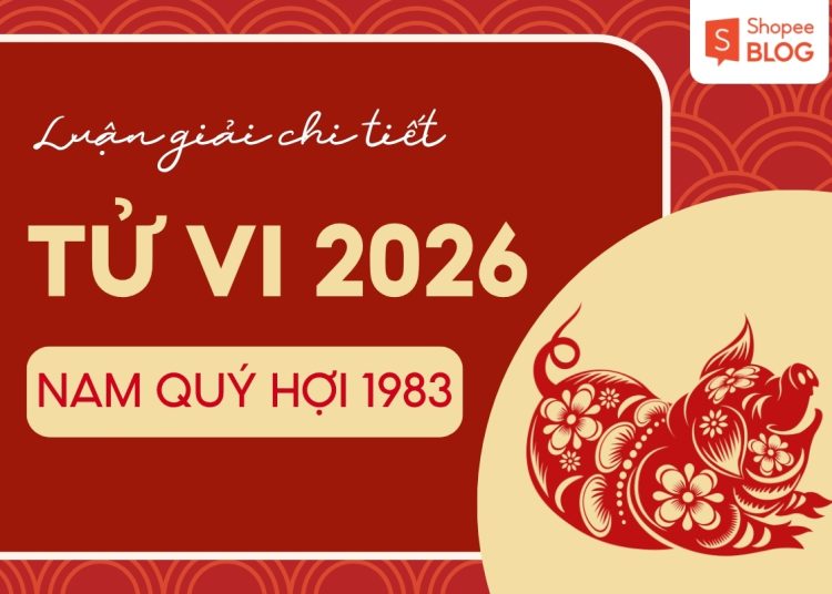 tử vi tuổi quý hợi năm 2026 nam mạng