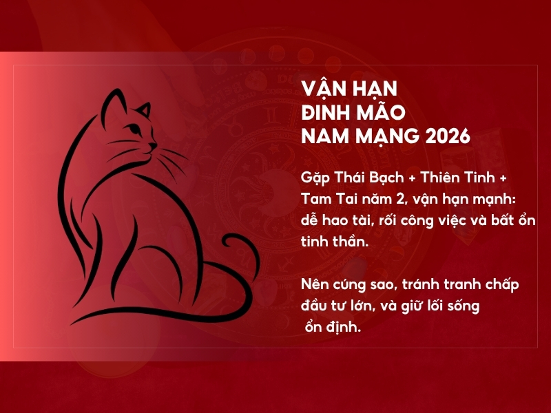 Vận hạn nam Đinh Mão 2026 nam mạng