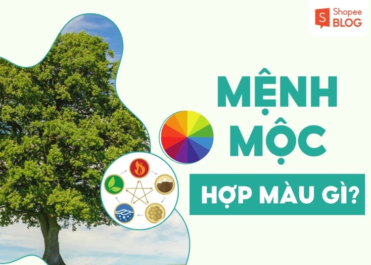 mệnh mộc hợp màu gì