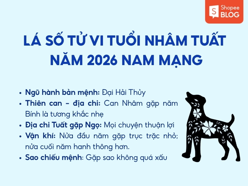 lá số tử vi tuổi Nhâm Tuất năm 2026 nam mạng