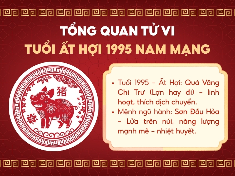 Tổng quan tử vi Ất Hợi 1995 nam mạng. 