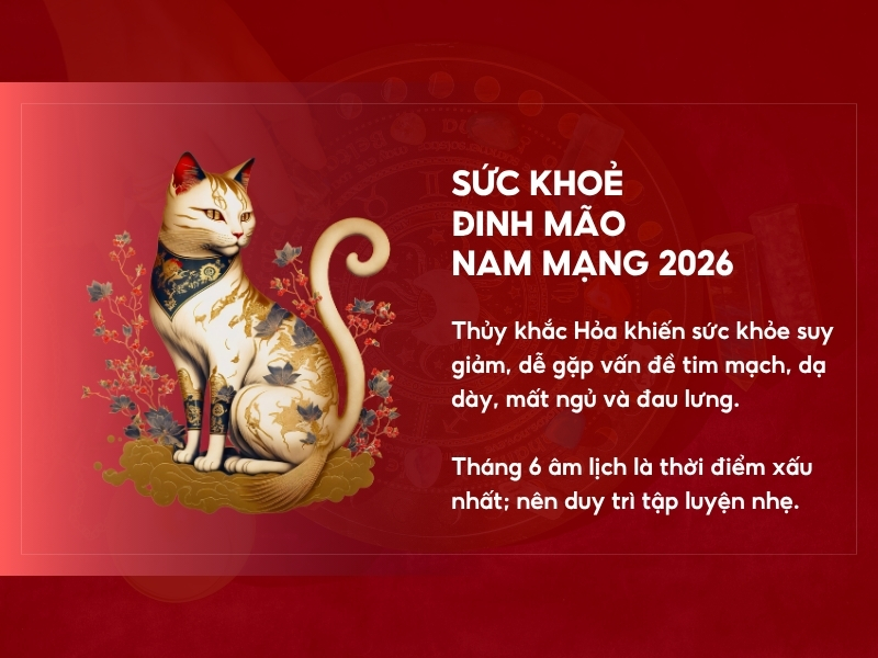 Sức khoẻ nam Đinh Mão 2026 nam mạng