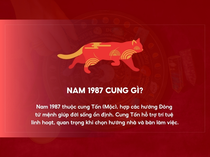 Nam 1987 cung gì? 