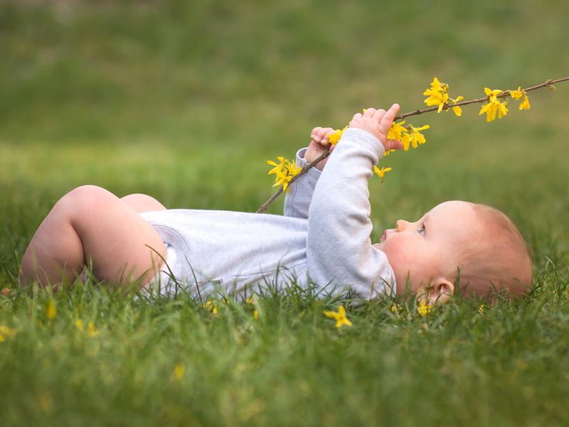 bé trai yêu thiên nhiên