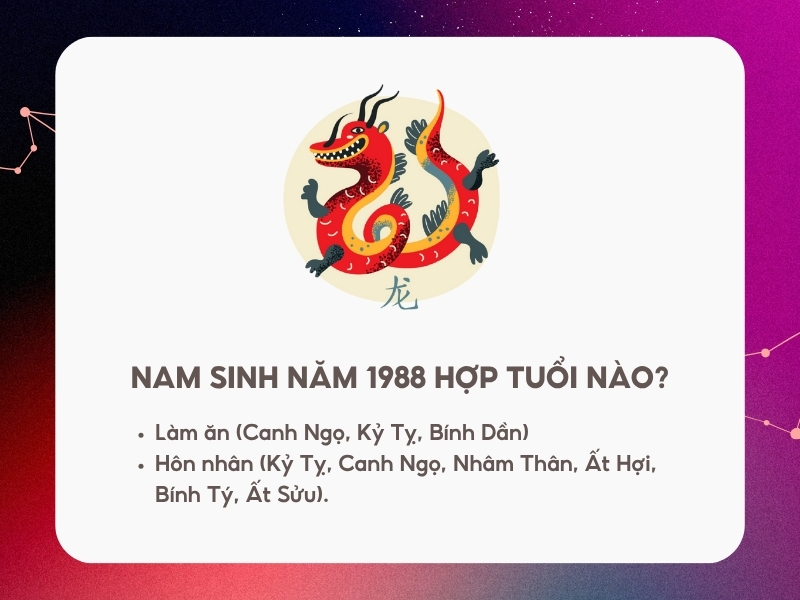 Nam sinh năm 1988 hợp hướng nào?