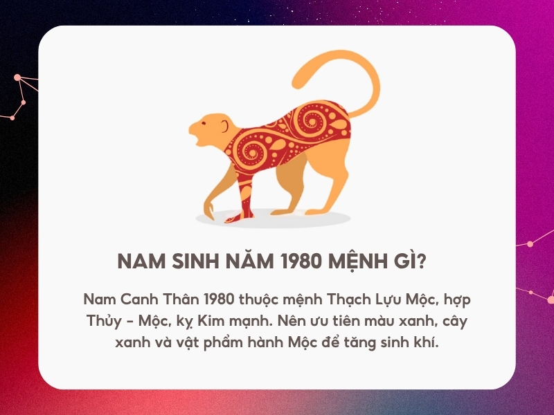 Nam sinh năm 1980 mệnh gì?