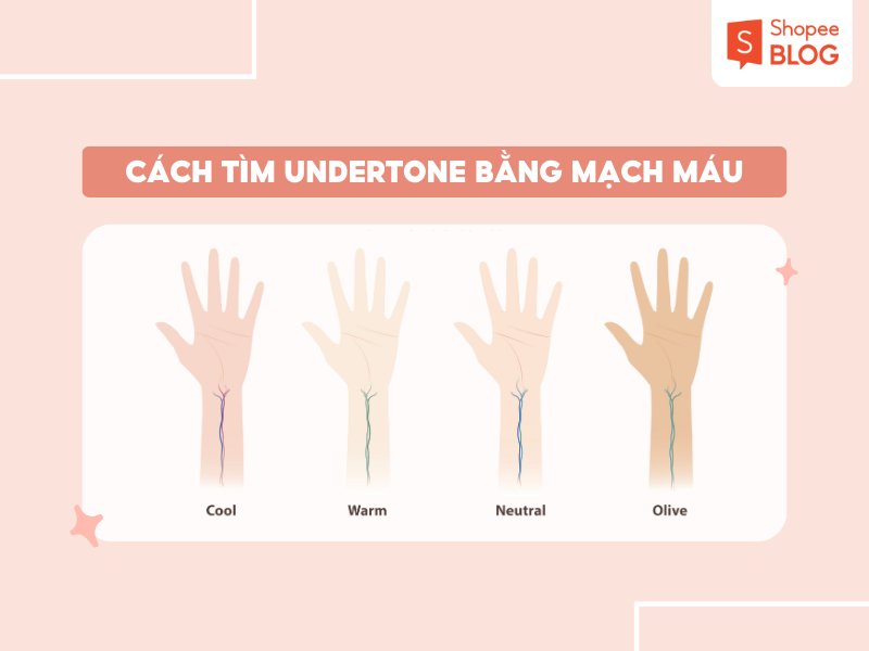 Cách xác định undertone bằng màu tĩnh màu cổ tay