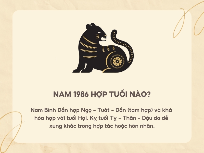 Nam 1986 hợp với tuổi nào?