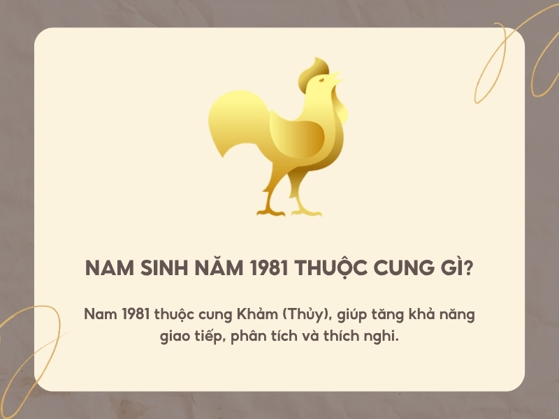 Nam sinh năm 1981 thuộc cung gì? 