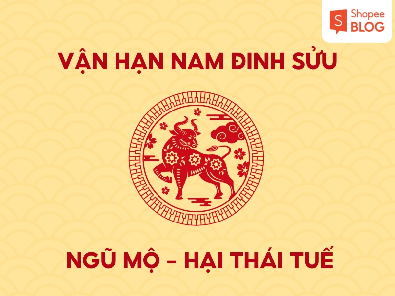 Vận hạn nam Đinh Sửu 1997 năm 2026 