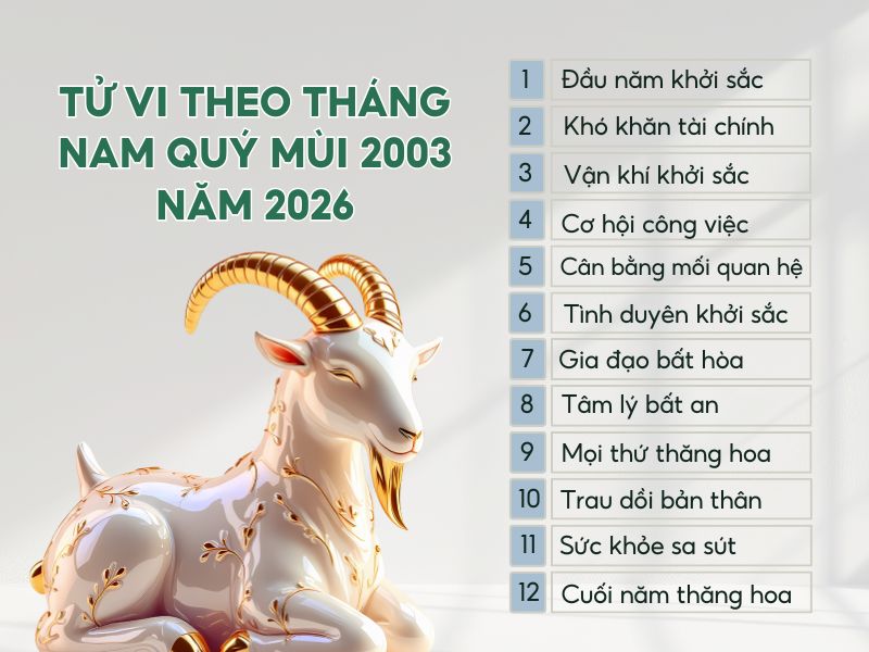 Tổng quan tử vi 12 tháng năm 2026 của nam Quý Mùi 2003 