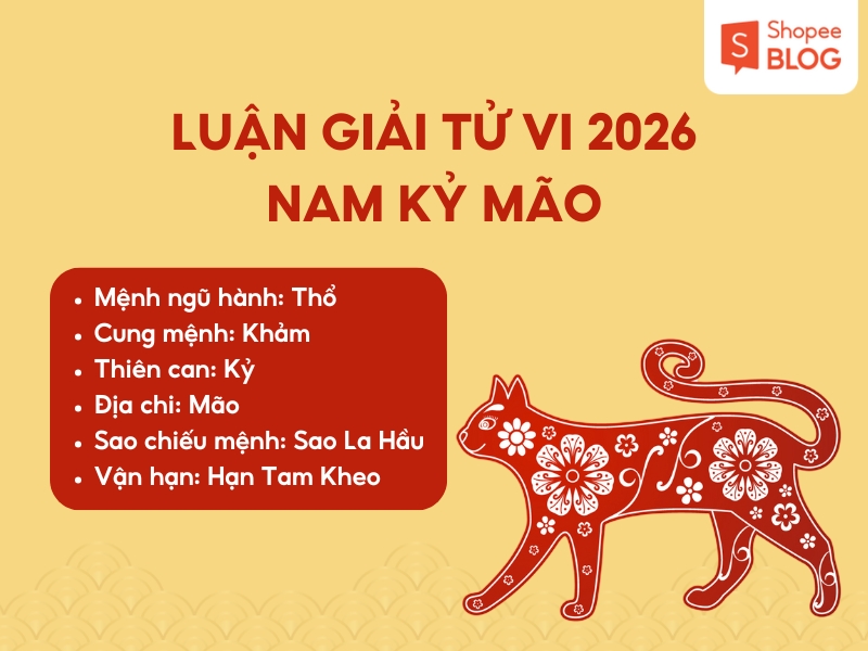 Luận giải tử vi nam sinh năm 1999