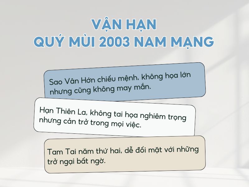 Vận hạn của nam Quý Mùi năm 2026 