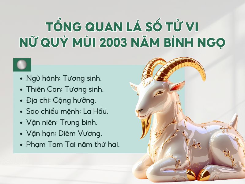 Tổng quan tử vi tuổi Quý Mùi nữ mạng 2003 trong năm 2026