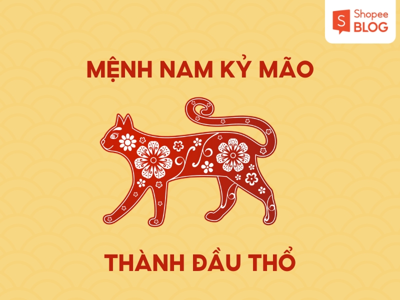 Luận giải tử vi nam sinh năm 1999