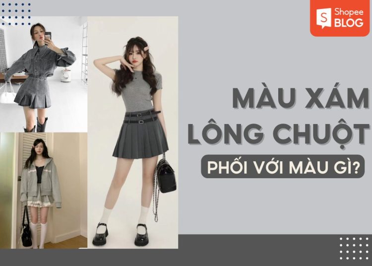 màu xám lông chuột phối với màu gì