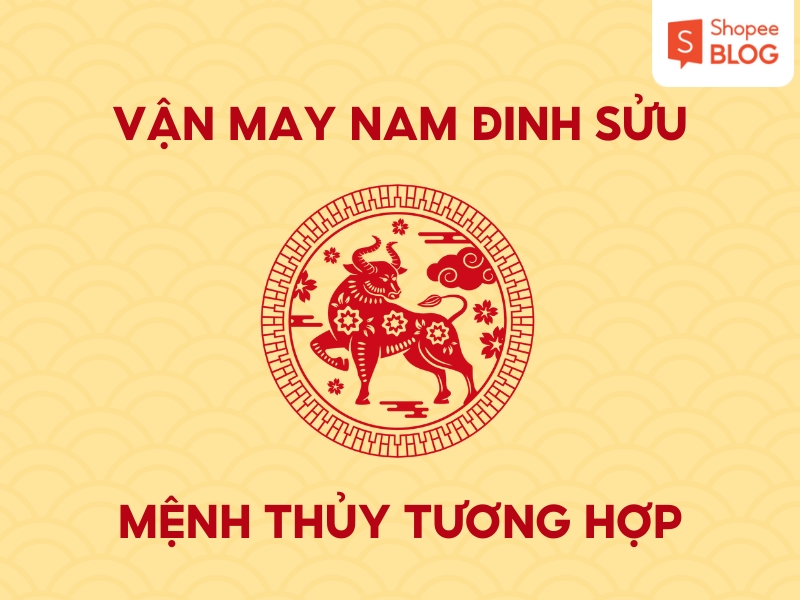 Vận may nam Đinh Sửu 
