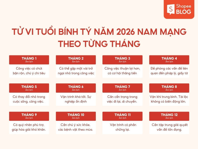 Tử vi tuổi Bính Tý năm 2026 theo từng tháng