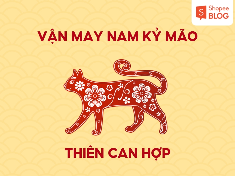 Vận may nam Kỷ Mão 