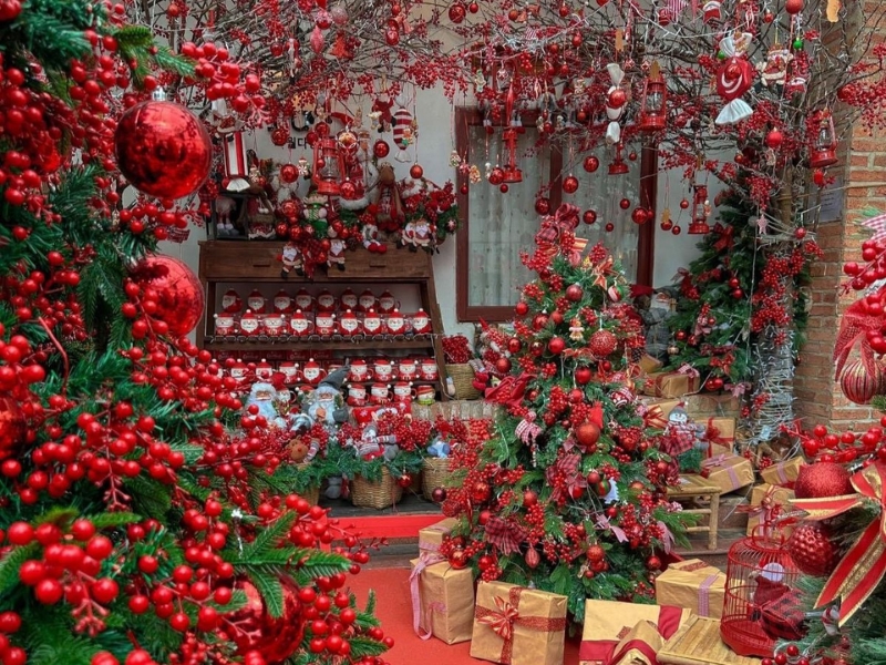 Trang trí sân vườn với dây quả châu