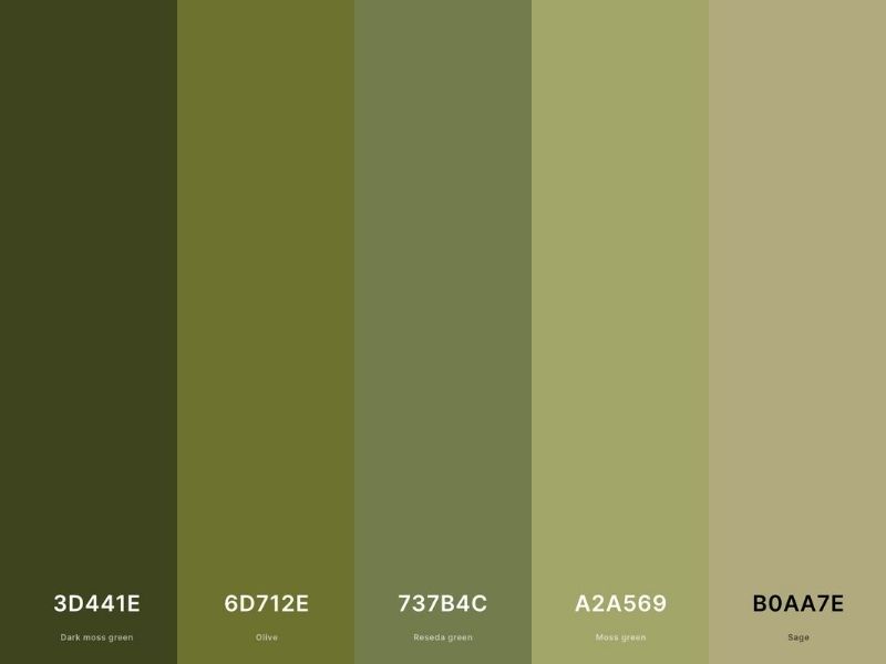 Các loại màu xanh olive