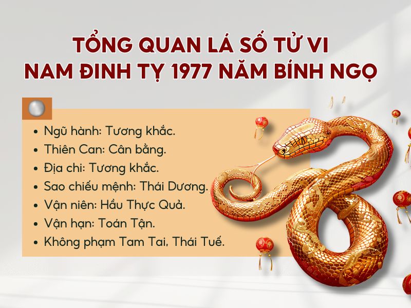 Tổng quan tử vi tuổi Đinh Tỵ nam mạng 1977 trong năm 2026 