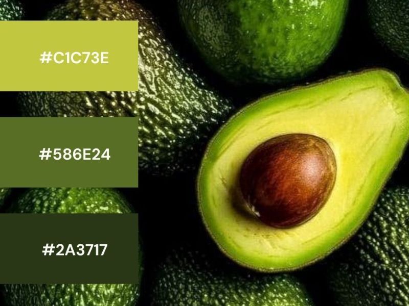 Các loại màu xanh bơ 