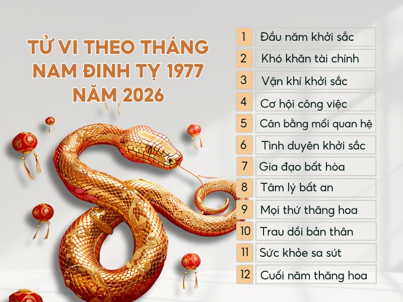 Tổng quan tử vi 12 tháng năm 2026 của tuổi Đinh Tỵ nam mạng 1977