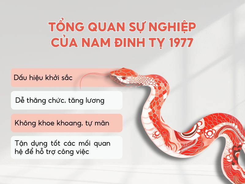 Sự nghiệp năm 2026 của tuổi Đinh Tỵ nam mạng 1977