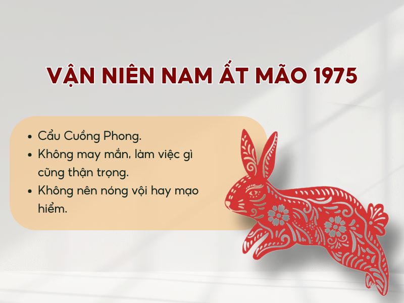 Vận niên tuổi Ất Mão nam mạng 1975 năm 2026 