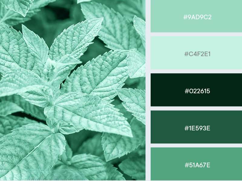 Các loại màu xanh mint