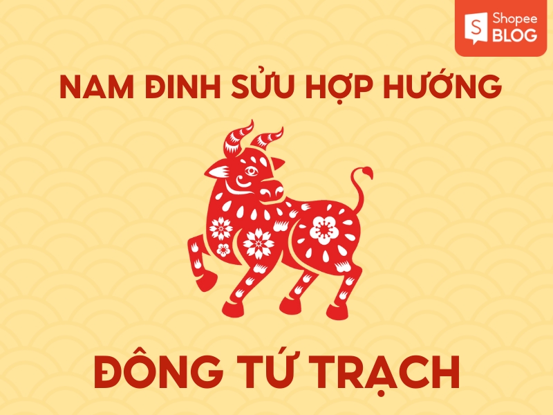 Hướng hợp với nam 1997 