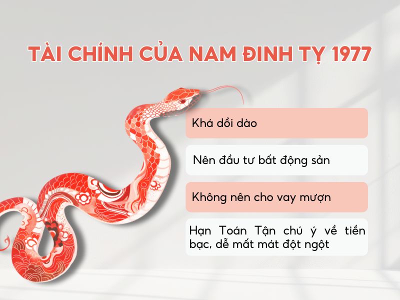 Tổng quan tài chính của tuổi Đinh Tỵ nam mạng 1977 
