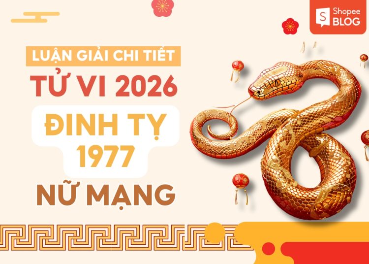 tử vi tuổi đinh tỵ năm 2026 nữ mạng