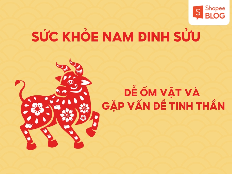 Sức khỏe nam 1997 năm 2026