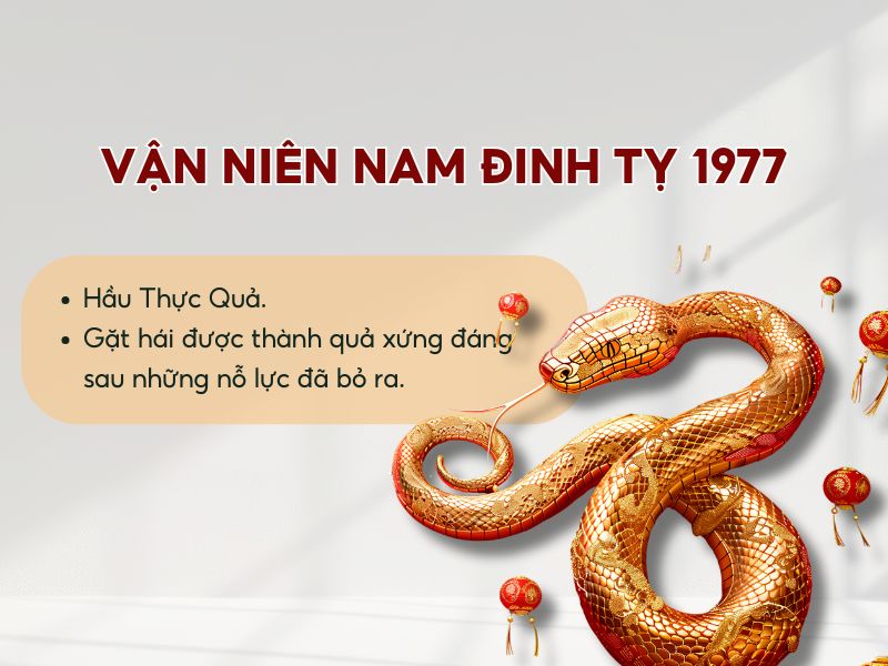 Vận niên tuổi Đinh Tỵ nam mạng 1977 năm 2026 