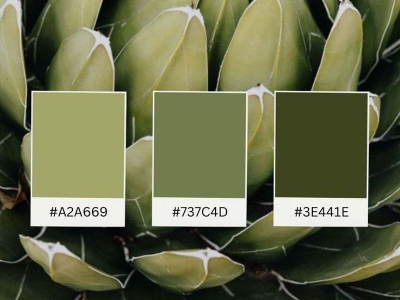 Các loại màu xanh rêu