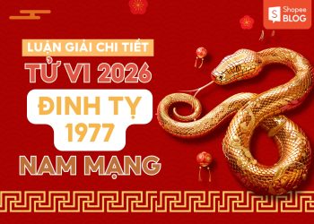 tử vi tuổi đinh tỵ năm 2026 nam mạng