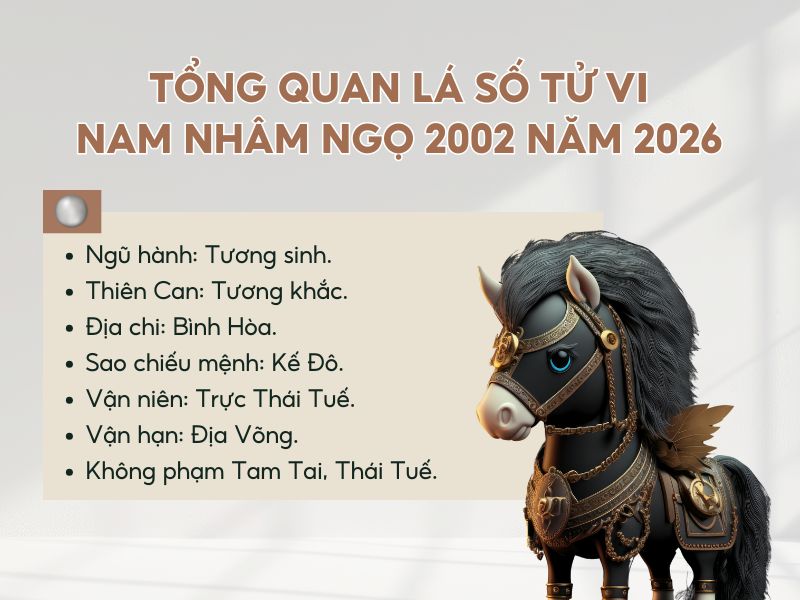 Tổng quan tử vi tuổi Nhâm Ngọ nam mạng 2002 trong năm 2026