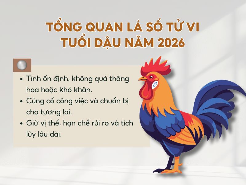 Tổng quan tử vi tuổi Dậu trong năm 2026 