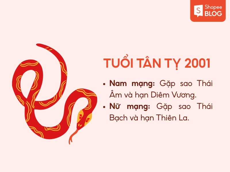 tử vi tuổi Tân Tỵ 2026