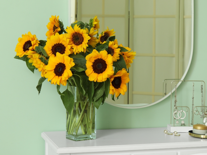 Hoa hướng dương