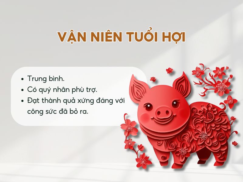 Vận viên tuổi Hợi năm 2026