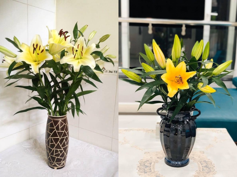 Cắm hoa ly trong bình gốm, bình sứ sang trọng